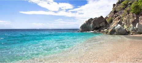 Shell Beach